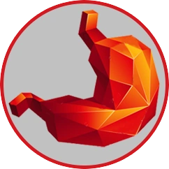 Регургитация (кислая отрыжка, срыгивание) — это попадание содержимого желудка вследствие рефлюкса в рот или глотку.